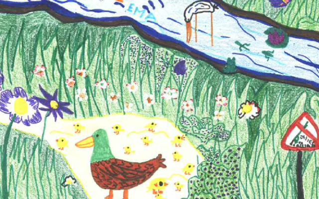 Disegno
